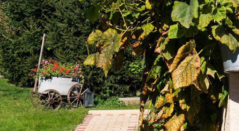 Ferienwohnung Am Elberadweg Drážďany Exteriér fotografie