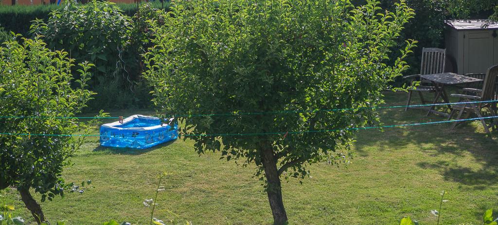 Ferienwohnung Am Elberadweg Drážďany Pokoj fotografie